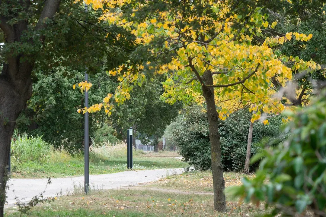 Sécurité & Tranquillité